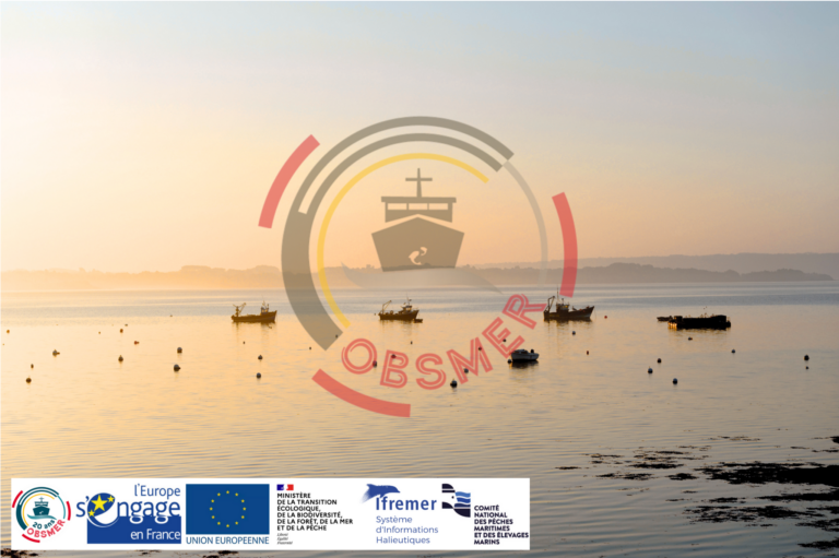 Programme ObsMer et liste de transparence