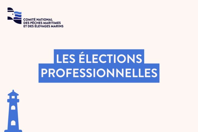 les élections professionnelles