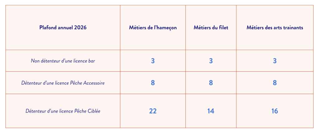 Limites annuelles de capture pour le bar du golfe de gascogne en 2026