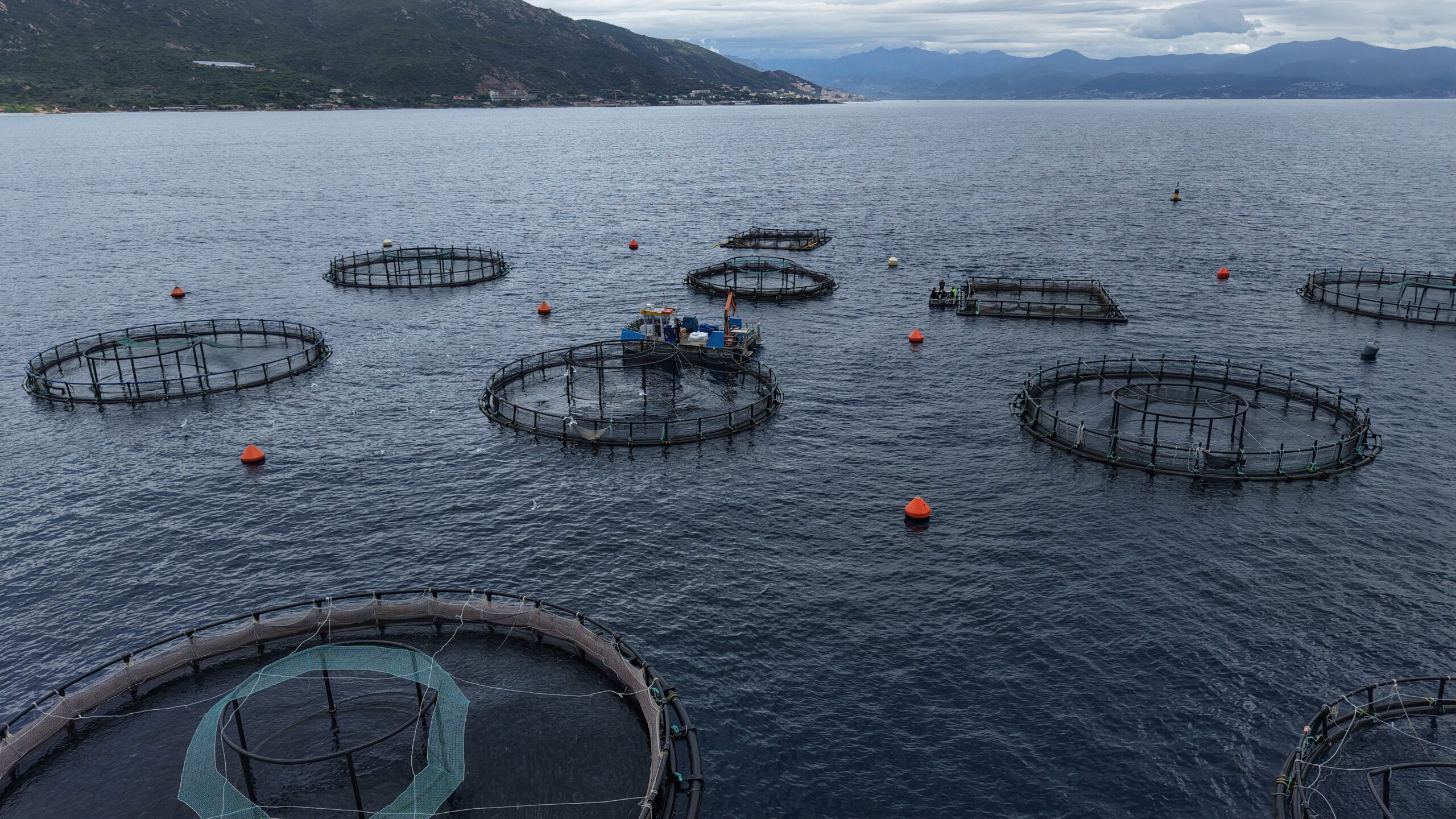 bassins d'aquaculture en corse