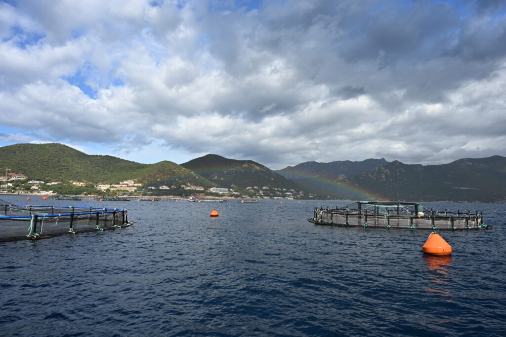 bassin aquaculture elevage marin