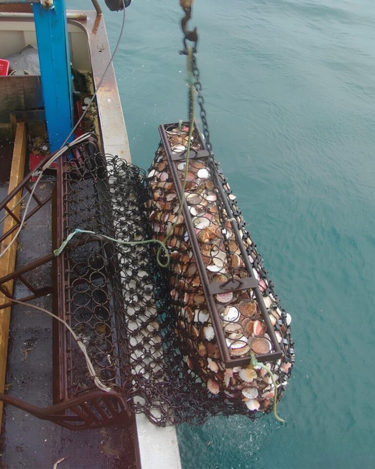engin de pêche drague coquille saint jacques