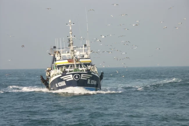 Chalutier de pêche hauturière