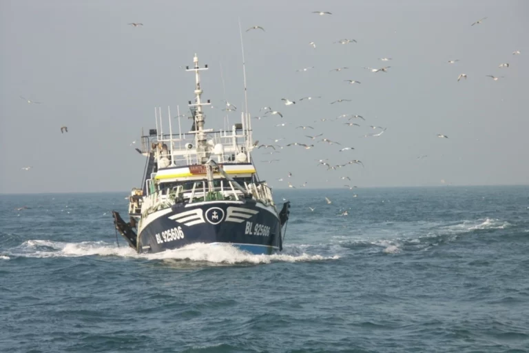 Chalutier de pêche hauturière