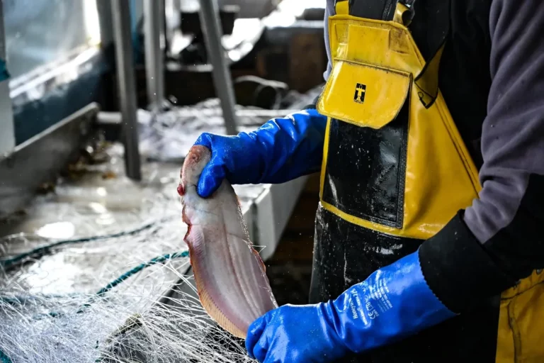 peche à la sole au filet