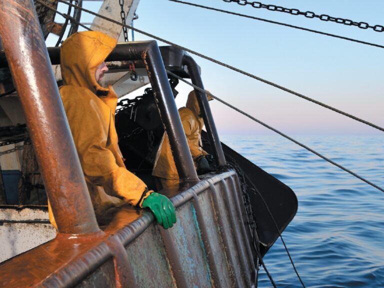 grande peche au large