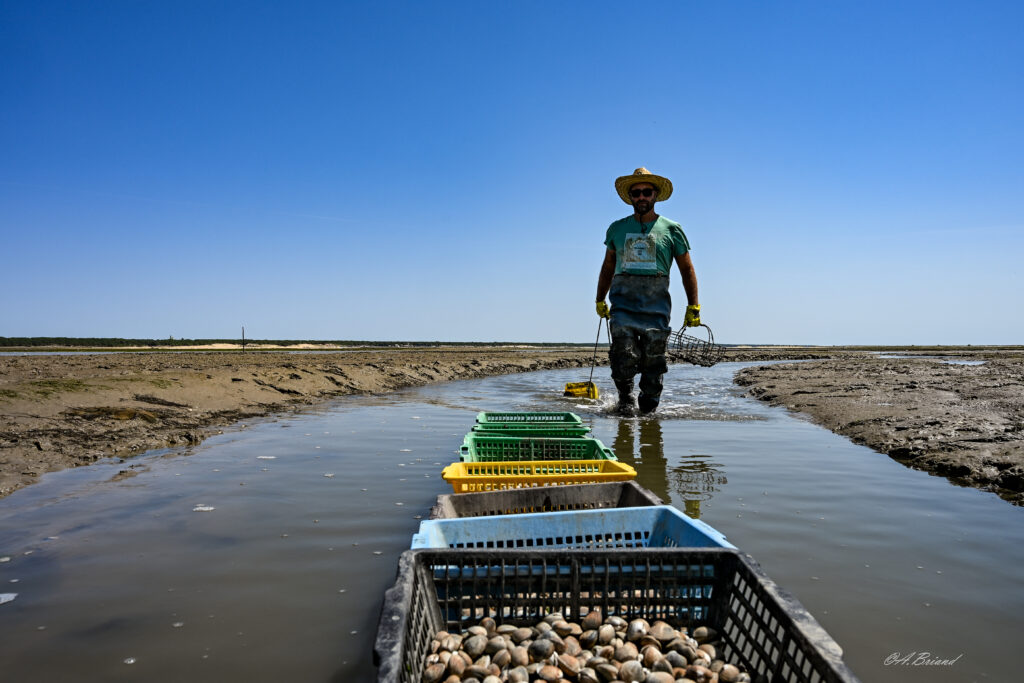 pecheur a pied professionnel