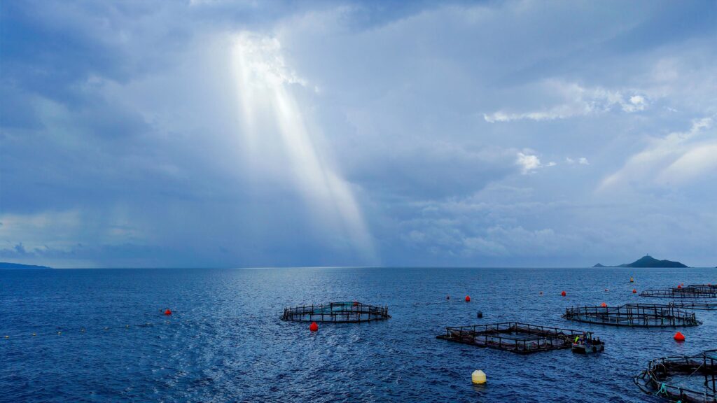 aquaculture et élevages marins