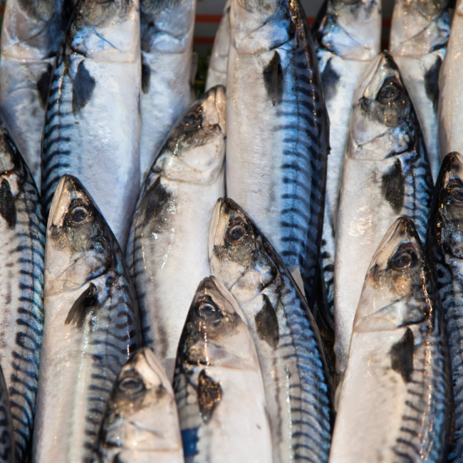 Post Photos Linkedin (1080 x 1080 px) (9)