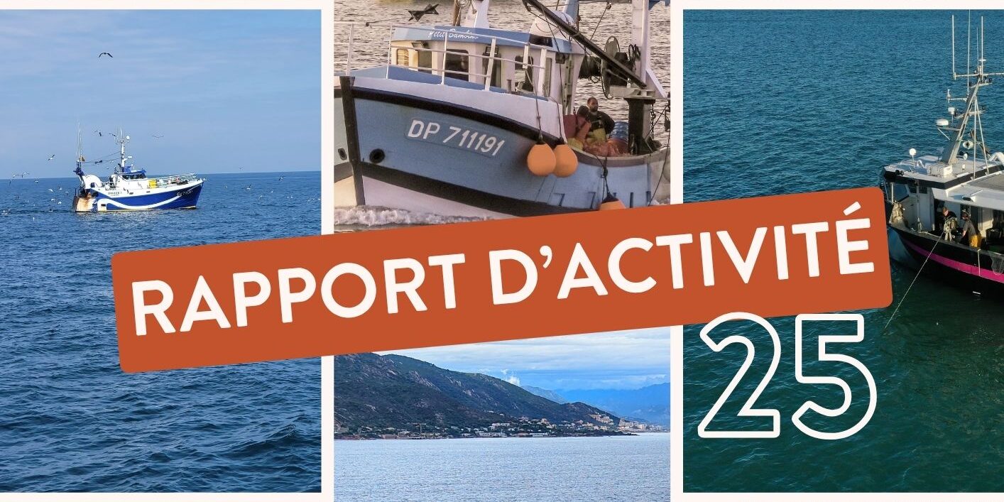 couverture du rapport d'activité CNPMEM 2025