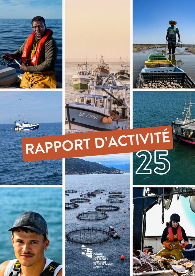 couverture du rapport d'activité CNPMEM 2025